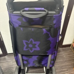 買い物キャリーバッグの画像