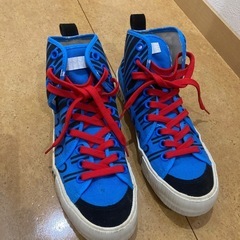 キシリッシューズ　25センチ
