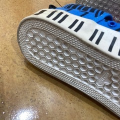 キシリッシューズ　25センチ
の画像