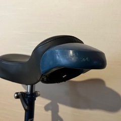 【一輪車】ブリヂストン　スピンズ　24インチ  の画像