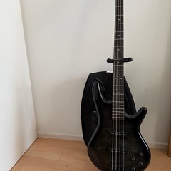 Ibanez GSR205