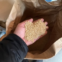 兵庫県のヒノヒカリの中古が安い!激安で譲ります・無料で 兵庫県のヒノヒカリの中古が安い!激安で譲ります・無料で