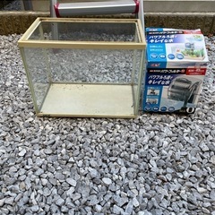 GEXフィルター、水槽