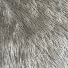 マルチカバー？②
の画像