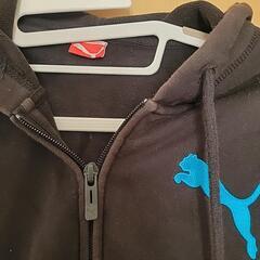 プーマパーカーの画像