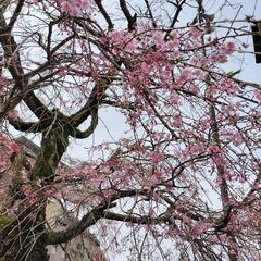 【湯河原町】別荘清掃スタッフ募集🌟の画像
