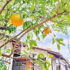 【湯河原町】別荘清掃スタッフ募集🌟