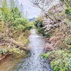 【湯河原町】別荘清掃スタッフ募集🌟の画像
