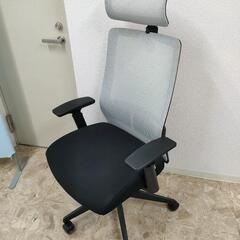ITOKIイス サリダYL7