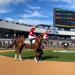 ［締め切り］1月5日中山金杯♪中山競馬場に行きませんか〜！競馬仲間・競馬友達・競馬グループメンバー募集！ - 中野区
