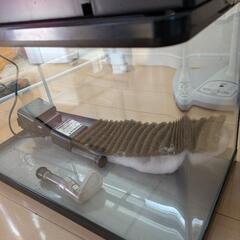 受付終了　水槽 60cm 上部フィルターの画像