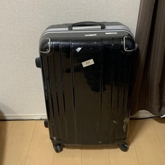 キャリーバックの画像