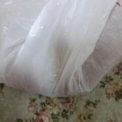 おまけ約1.5キロと１/２削除明日までの画像