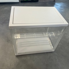 【 無料】コレクションボックスの画像