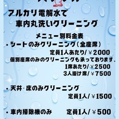 アルカリ電解水で車内丸洗いクリーニング(＊1/2〜追加アリ) - 中頭郡