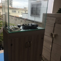 アマゾニアの中古が安い！激安で譲ります・無料であげます