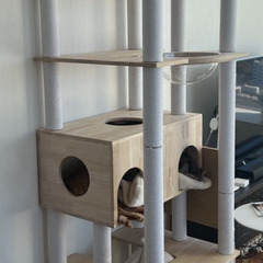 キャットタワー (Cat Tower)