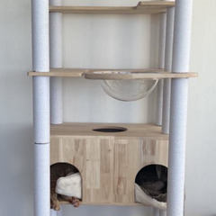 キャットタワー (Cat Tower)の画像