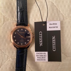 シチズン独自技術の光発電機能、高機能ファッション・ウォッチ EW2583-05L