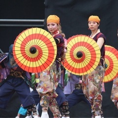 【初心者大歓迎！】一緒によさこい踊りませんか？ - 高岡市