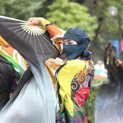 【初心者大歓迎！】一緒によさこい踊りませんか？ - 友達