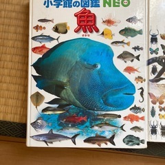 小学館の図鑑　色々の画像