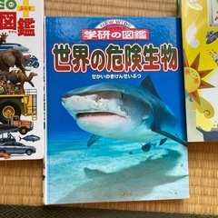 小学館の図鑑　色々の画像