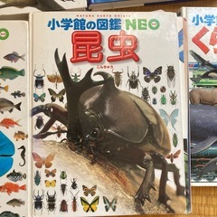 小学館の図鑑　色々の画像