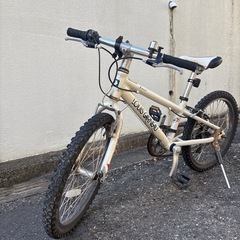 ルイガノ　20インチ　自転車