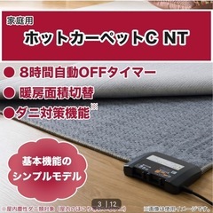 【2畳用】ホットカーペットの画像