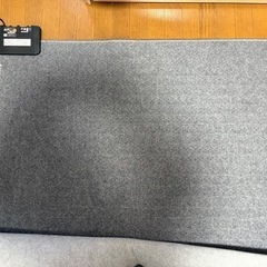 【2畳用】ホットカーペットの画像