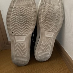 スニーカーL Lの画像