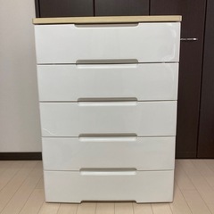 5段チェスト