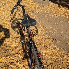 ブリヂストン アビオス