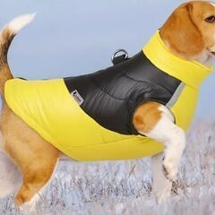 反射防水犬ジャケット　XL　リード付け金具ありの画像