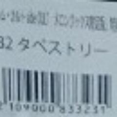 ハーレム・カルト side CULT B2タペストリー付きメロンブックス限定版の画像