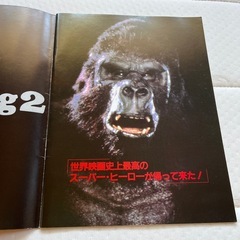 キングコング2の画像