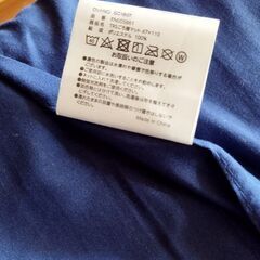 トゥルースリーパー 小さめマットレス 青の画像