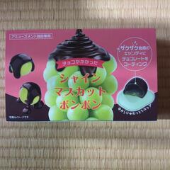 チョコシャインマスカットボンボン