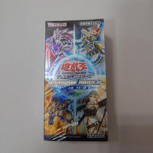 遊戯王デュエルモンスターズ ターミナルワールド