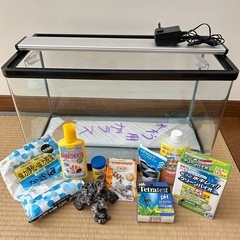 水槽60×30cm  高さ36と水槽用ライトと備品
