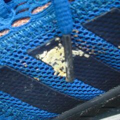 断捨離　靴⑩　アディダス スニーカー クライマクール の画像