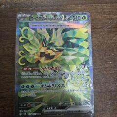 ポケモンカード オーガポンみどりのめんex