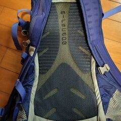 Osprey Raven 14