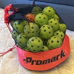 プロマークバッティングトレーナー練習球