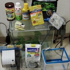 お得セット!Tetra 水槽15点セット　魚はすぐ飼える 1/9まで