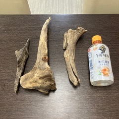 流木いろいろ！の画像