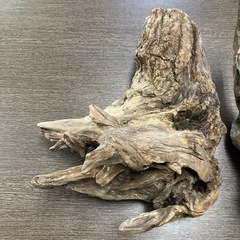 流木いろいろ！の画像