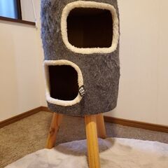 キャットハウス