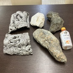 水槽石（大）いろいろの画像